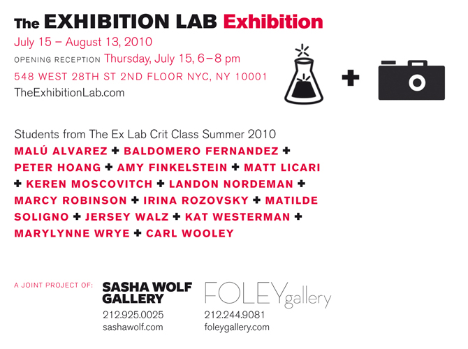 The Exhibition Lab, Foley Gallery, Sasha Wolf Gallery, New York