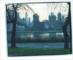 Matilde Soligno, The New York Takes
