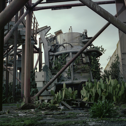 Matilde Soligno, This Island Earth