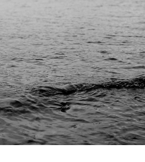 MK Gallery, Gerard Byrne: Case Study: Loch Ness (Some possibilities and problems), 2001-2011