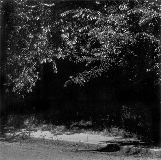 Robert Adams. Untitled c. 1981. From Summer Nights, Walking