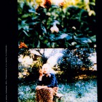 Jonas Mekas. Just Like a Shadow